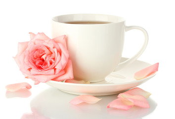 cup of tea with rose isolated on white