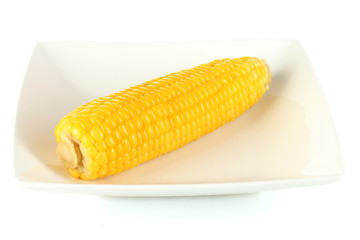 boiled corn isolated on white on the white plate