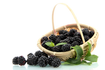 Fototapeta na wymiar beautiful blackberries with leaves in basket isolated on white