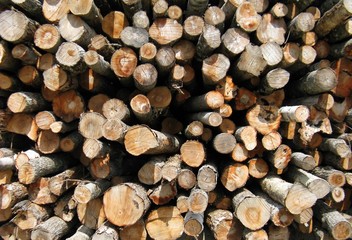 outdoors lumber woodpile