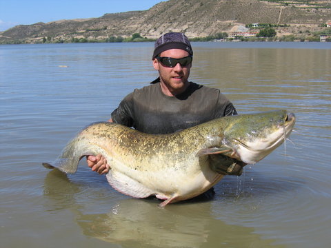 p&ecirc;che du silure