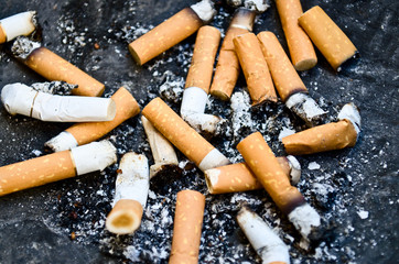 Cigarettes