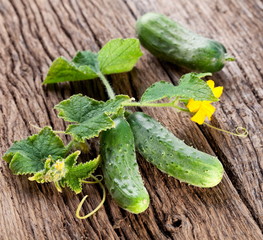 Cucumbers with leaves