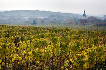 Fototapeta na wymiar Kościół w jesiennych winnic