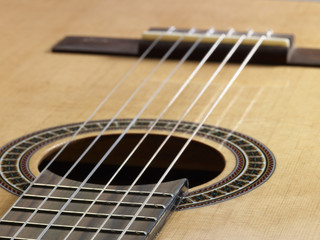 acoustic guitar