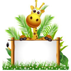 funny giraffe cartoon with board © sunlight789
