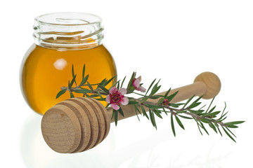 honey with dipper and manuka flower (Leptospermum)