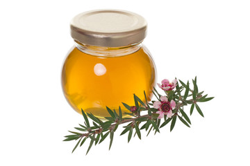 jar of honey with manuka (tea tree or Leptospermum) flower