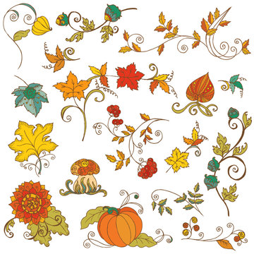 Vector set of decorative Autumn branches, leaves - for scrapbook