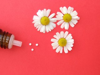Obraz premium Kamillenblüten und Streukügelchen/ Globuli, Homöopathie, Alternative Heilkunde