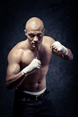 Fototapeta premium portrait of a young boxer