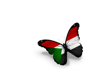Sudanese flag butterfly, isolated on white background
