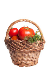 tomatoes in basket