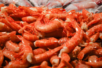 Shrimp at the Fish Market