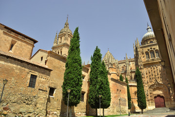 Cathedral of Salamanca