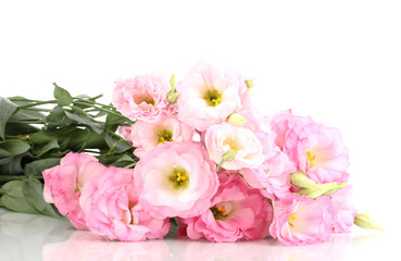 bouquet of eustoma flowers, isolated on white