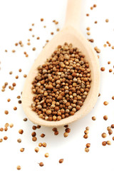 Heap coriander seeds in wooden spoon