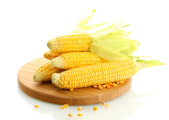 fresh corn on wooden cutting board, isolated on white