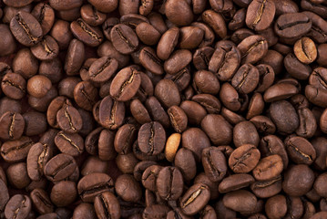 coffee beans