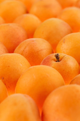 apricots background, full frame, shallow DOF