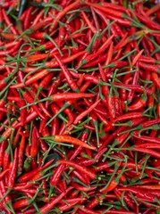 Fototapeta premium Red chilli
