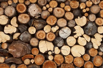 Möbelaufkleber Haufen gehacktes Feuerholz © angelo lano