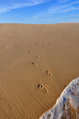 Footprints Going Out of Ocean