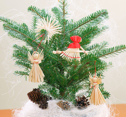 Fir (Abies koreana) in a pot - Christmas decoration