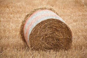 Round straw bales, Hampshire, England.