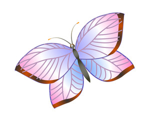 icon butterfly