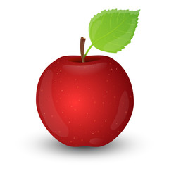 Red apple isolated on white background. Vector illustration.