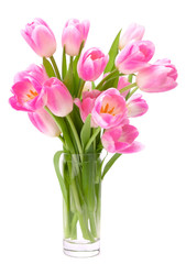 Pink tulips bouquet in vase isolated on white background