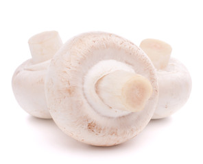 Champignon mushroom