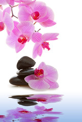 Fototapeta na wymiar Masaż kamieniami z Orchid