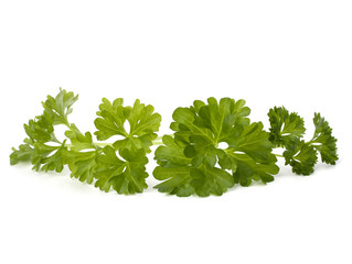 parsley