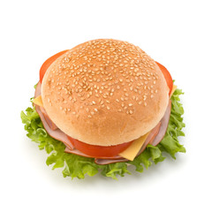 Junk food hamburger