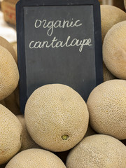 Cantaloupe