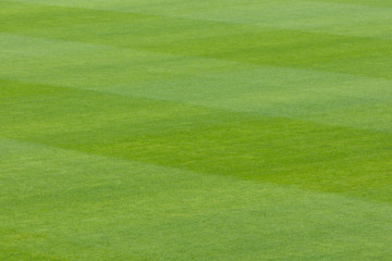 Lush green grass background