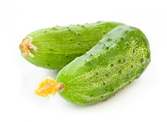 Fresh cucumber