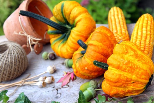 gartenarbeit im herbst