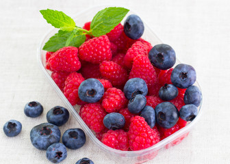 fresh bilberries and raspberries in a bowl