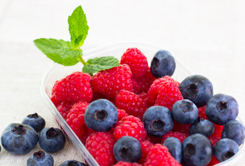 fresh bilberries and raspberries in a bowl