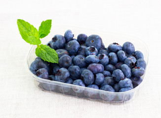 fresh bilberries in a bowl