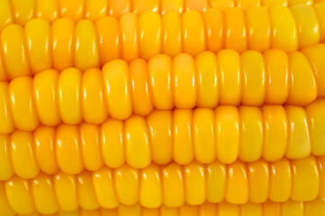 corn