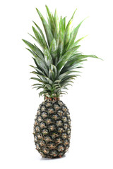Fototapeta premium Pineapple
