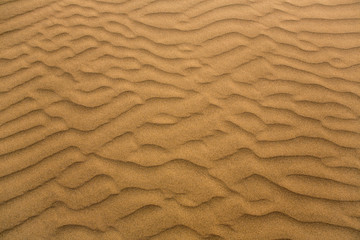 Desert sand dunes in Maspalomas Gran Canaria