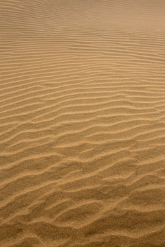 Desert dunes in Maspalomas Gran Canaria