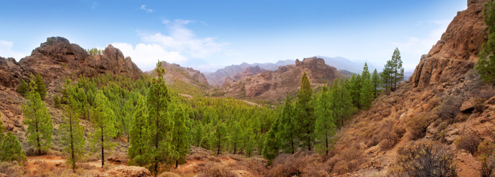 Gran Canaria Tejeda La culata mountains