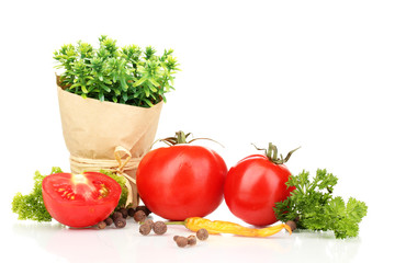 Still life tomatoes ketchup and herbs isolated on white