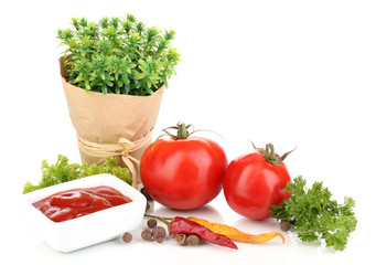 Still life tomatoes ketchup and herbs isolated on white